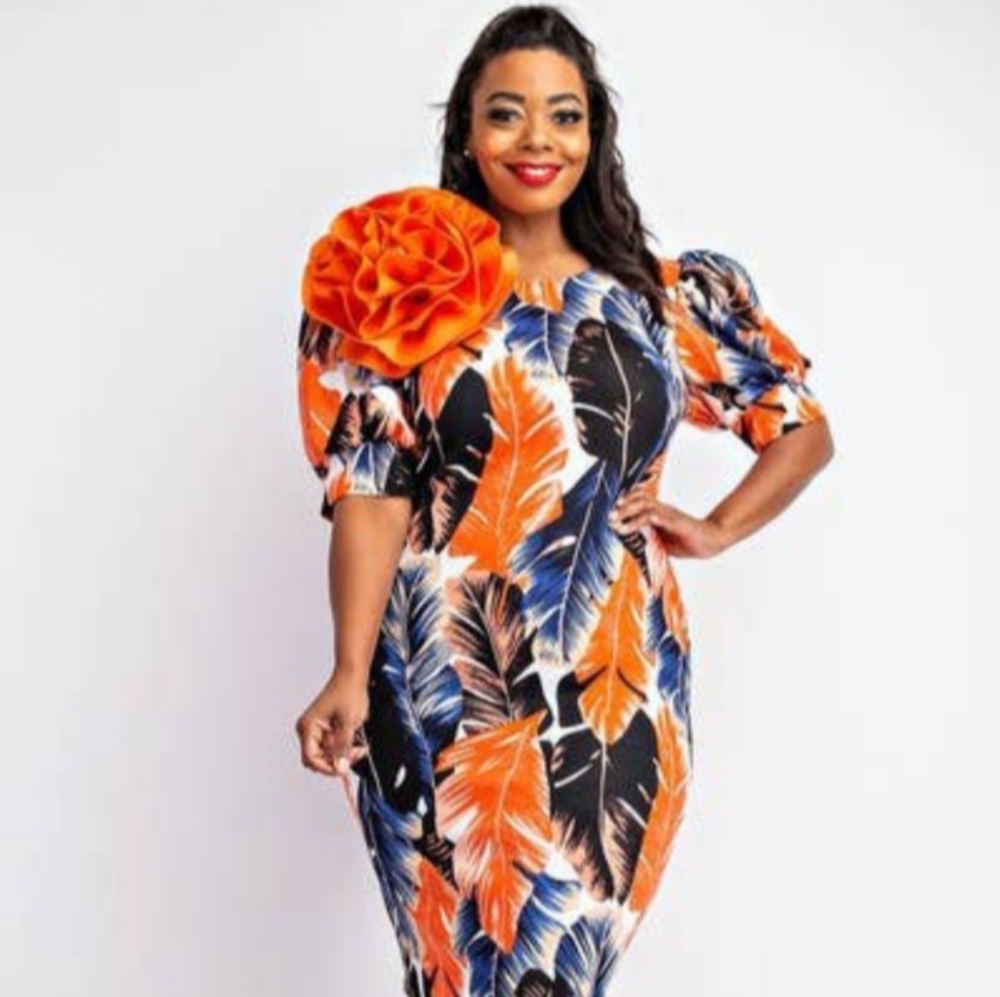 Balloon Sleeve Dress